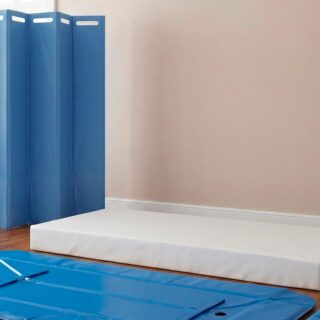 Petits équipement de gymnastique dans une pièce claire : tapis bleu pliable, matelas blanc, cale grise et paravent bleu, plantes près de la fenêtre.